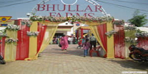 Bhullar Farms