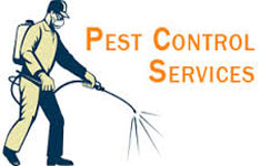 Pest Control & Management
