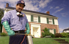 Pest Control Solutions
